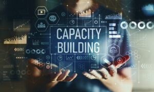Harris Whitesell Consulting, Building Organizational Capacity, Lori Harris